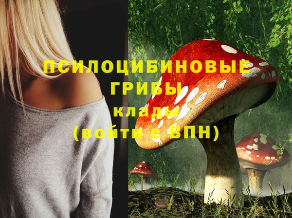 мдпв Ветлуга