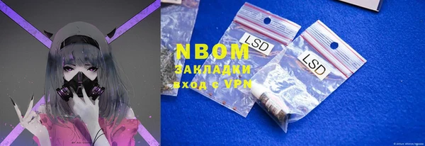 СК Пересвет