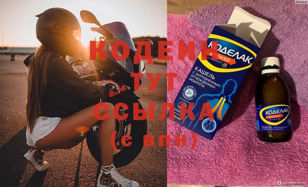 СК Пересвет