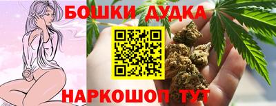 сатива Аргун