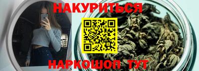 сатива Аргун