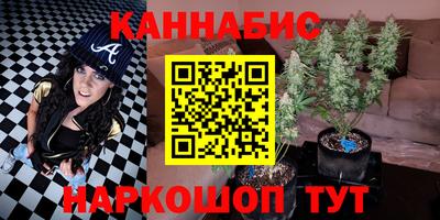 сатива Аргун