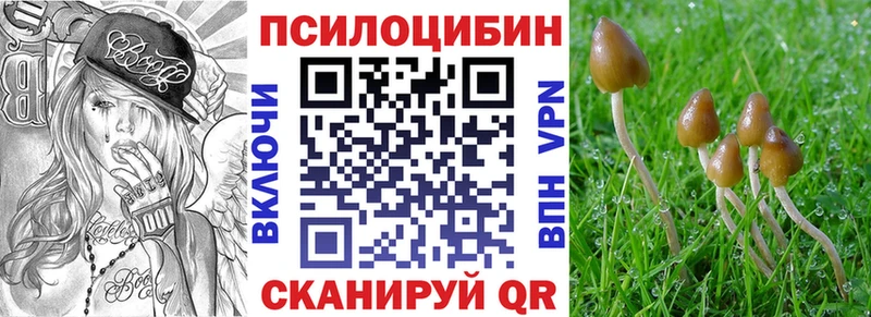 МЕГА маркетплейс  Аша  Галлюциногенные грибы GOLDEN TEACHER 