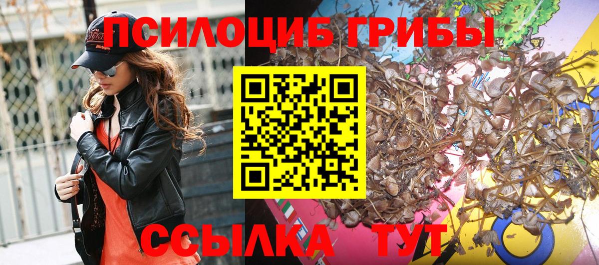 Аша  Галлюциногенные грибы MAGIC MUSHROOMS  Вход с VPN  Псилоцибиновые грибы Magic Shrooms 
