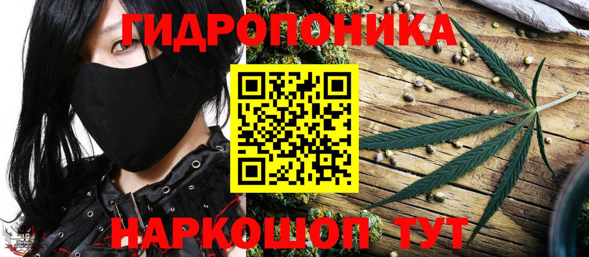Конопля Ganja  Канабис конопля  Аша 